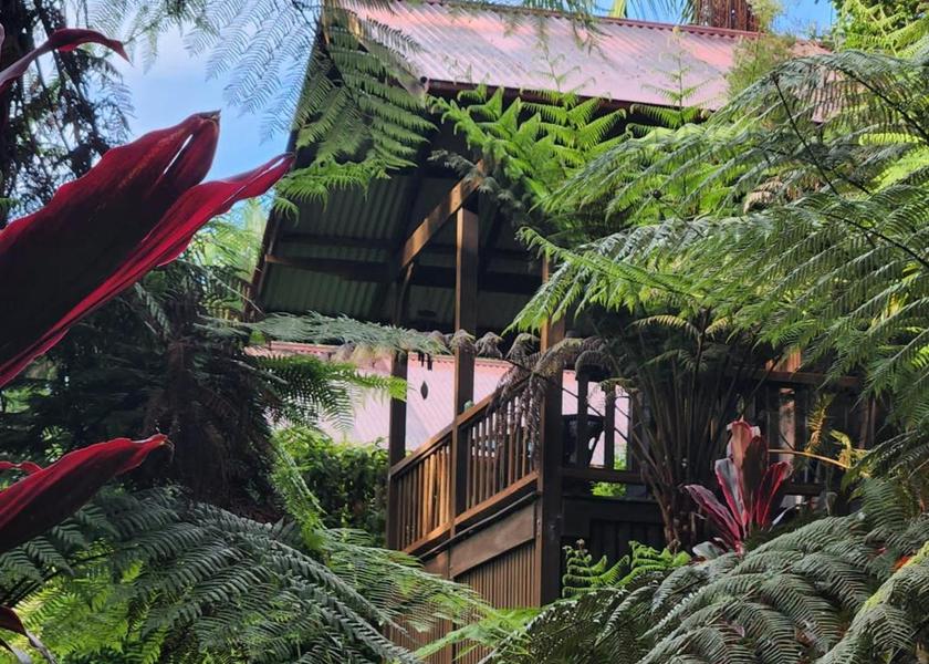 New South Wales Bellingen 