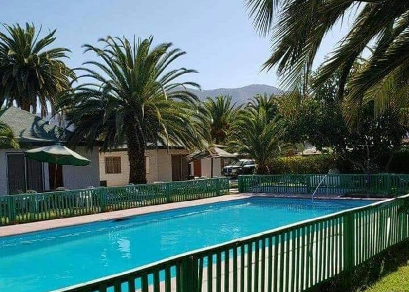 Coquimbo Region Vicuña 