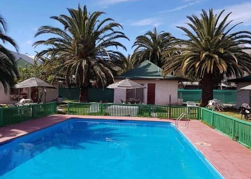 Coquimbo Region Vicuña 