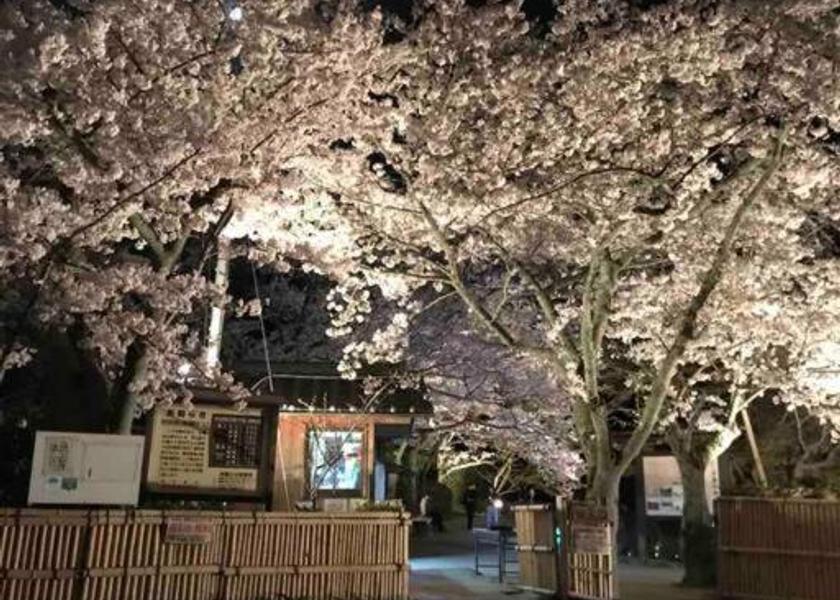 Nara Kashihara 