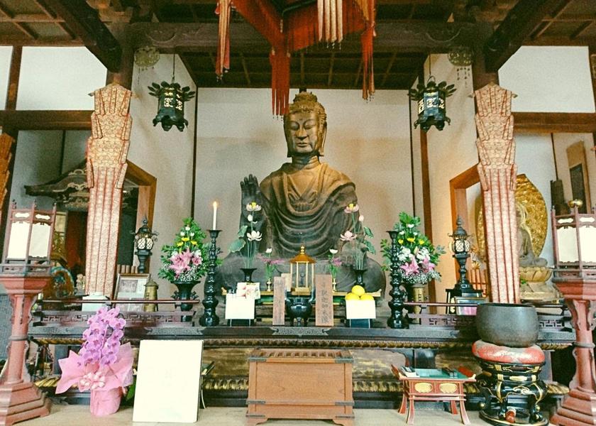 Nara Kashihara 