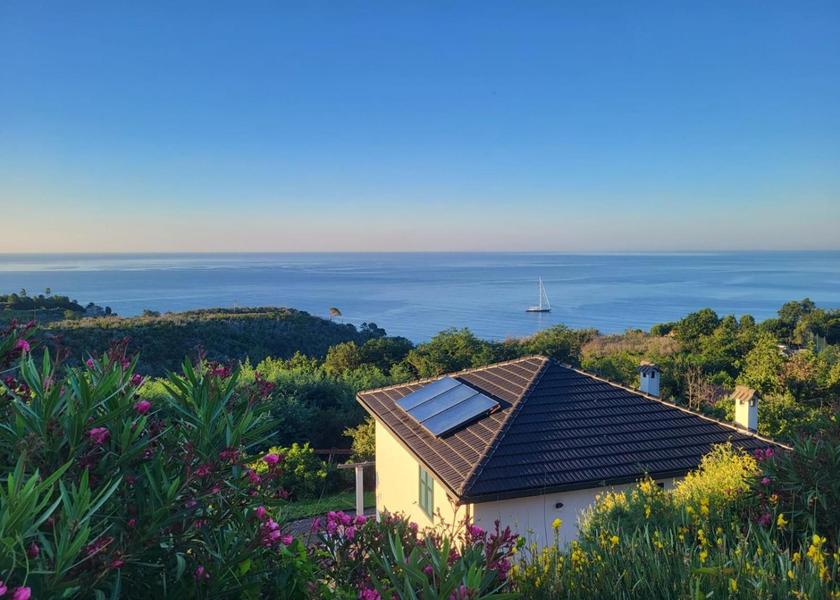 surrounding environment