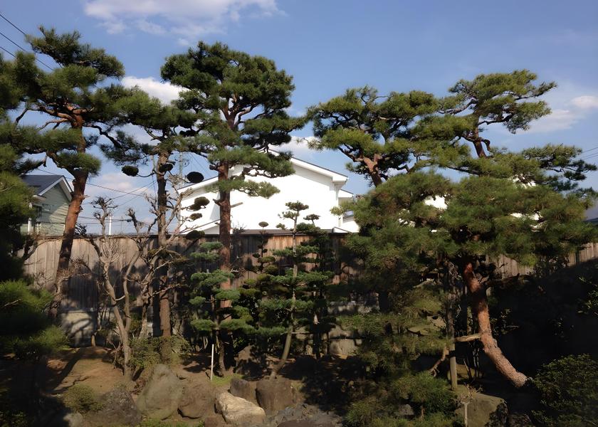 Fukushima Aizuwakamatsu garden