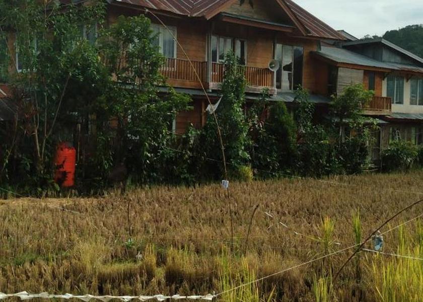 South Sulawesi Rantepao 