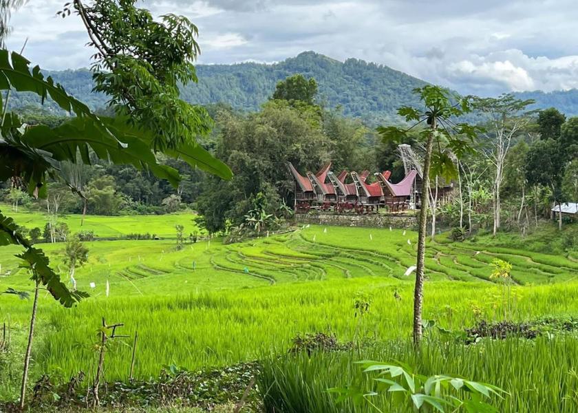 South Sulawesi Rantepao 