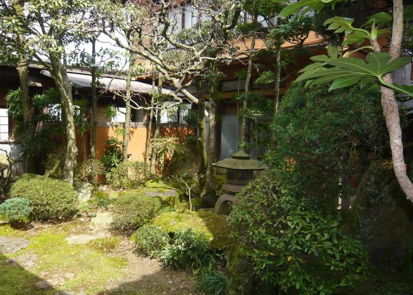 Hyogo Asago 