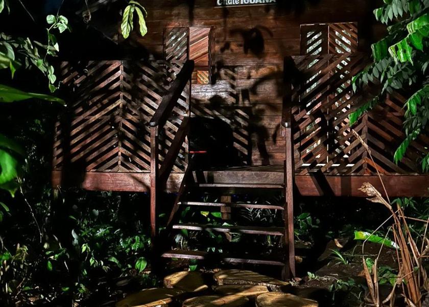 Amazonas Manaus 