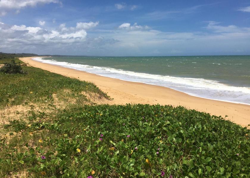 Bahia State Santa Cruz Cabralia 