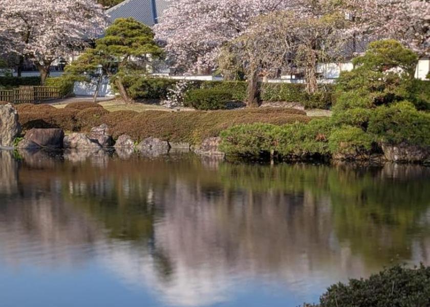Shizuoka Fujinomiya 