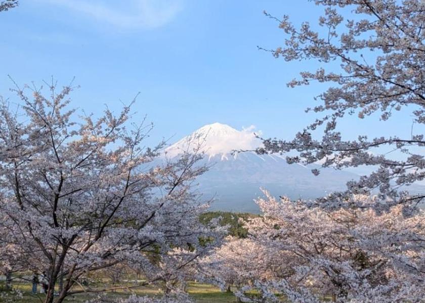 Shizuoka Fujinomiya 