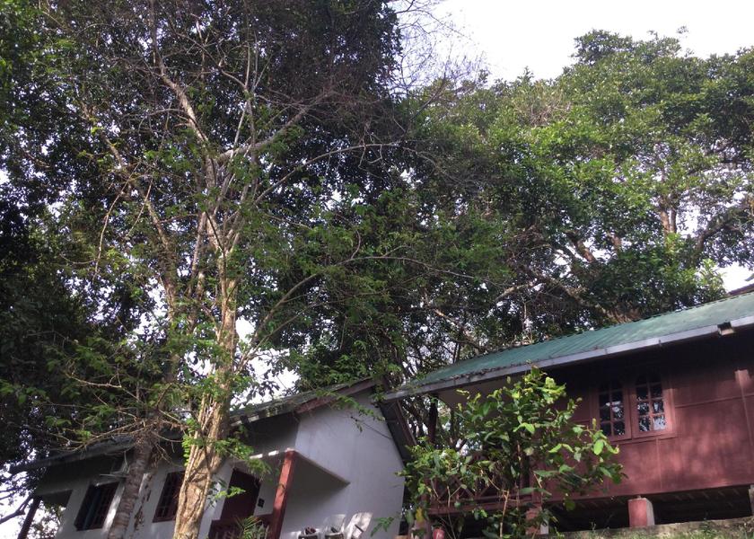 Pahang Kuala Tembeling Exterior view