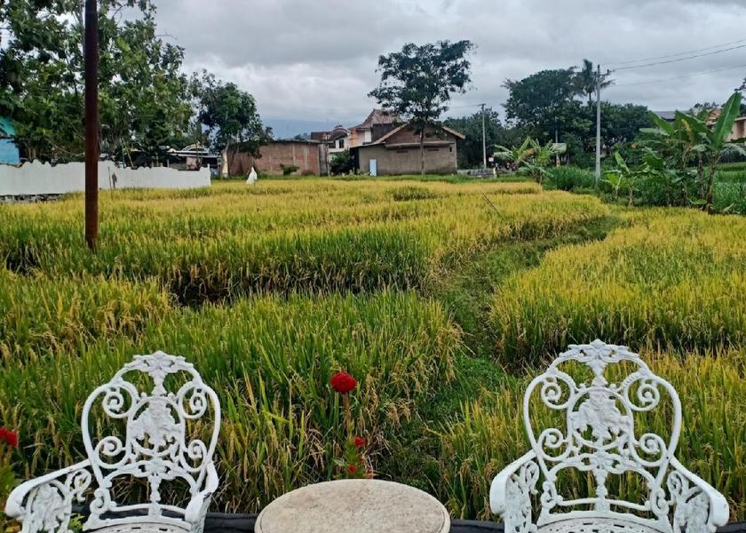 Central Java Karanganyar exterior view