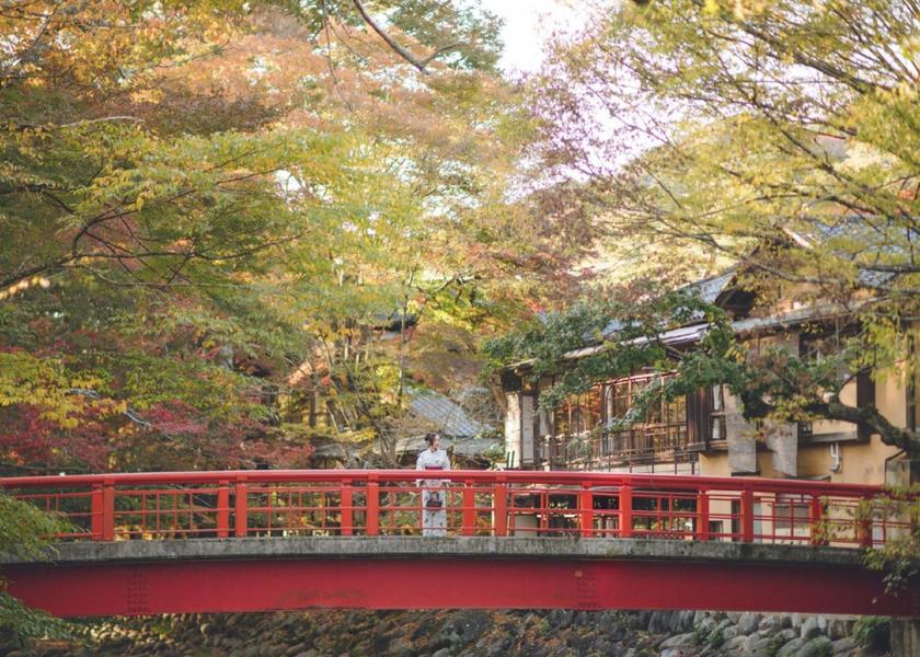 Shizuoka (prefecture) Izu nearby attraction