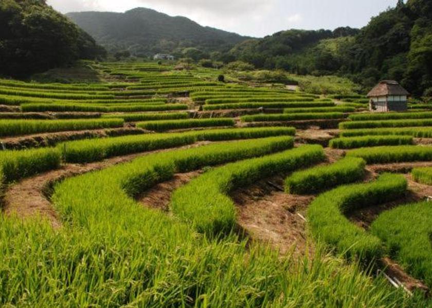Shizuoka (prefecture) Izu facilities