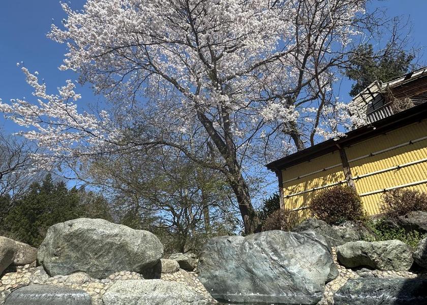 Gunma Katashina 