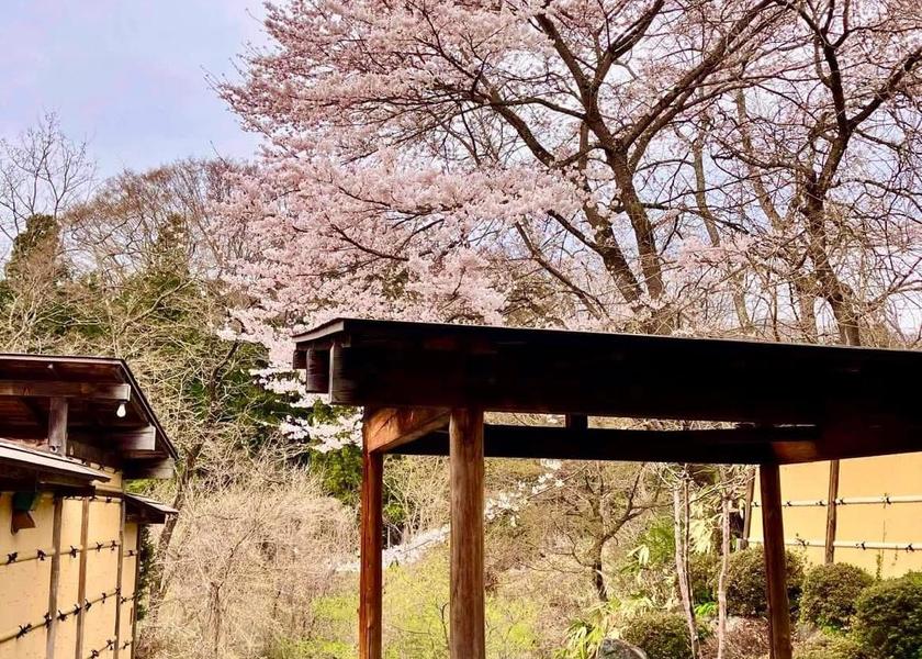 Gunma Katashina 