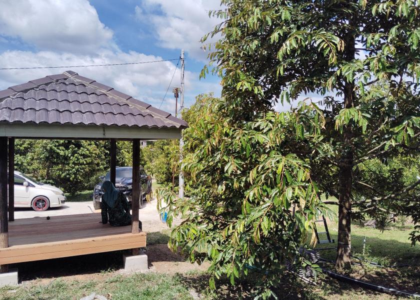 Pahang Temerloh view