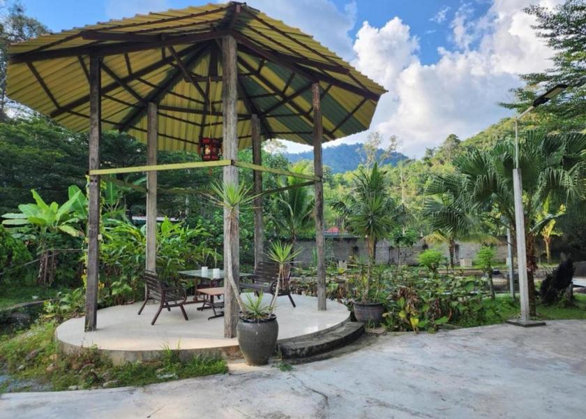 surrounding environment