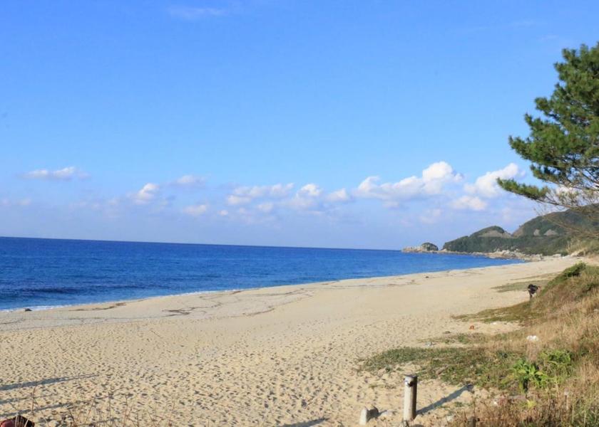 Kagoshima Yakushima surrounding environment