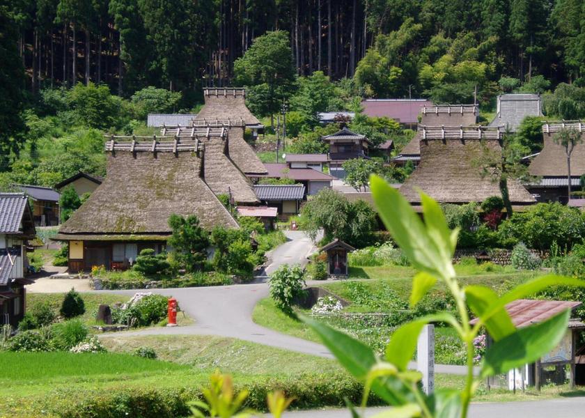 surrounding environment