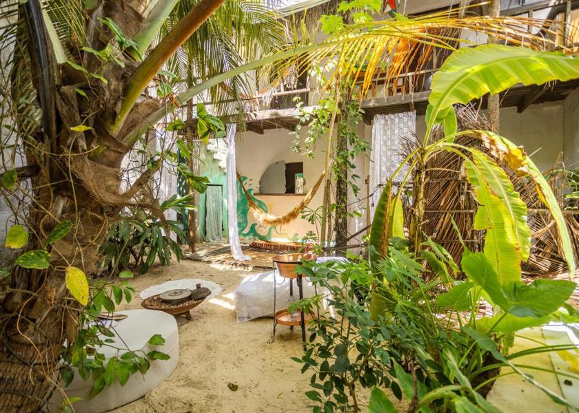 Ceará Jijoca de Jericoacoara garden