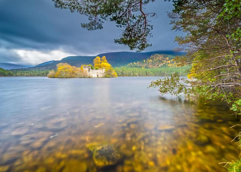 surrounding environment