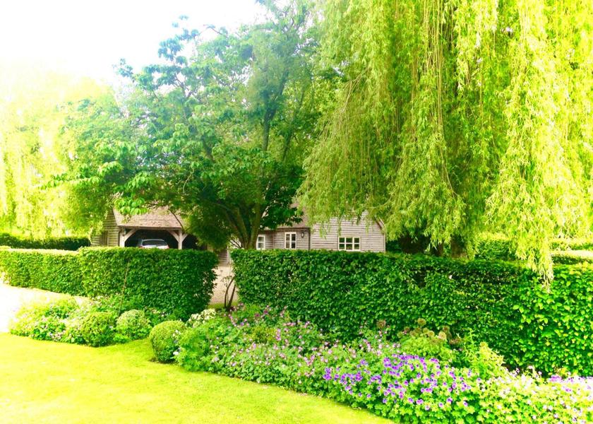 surrounding environment