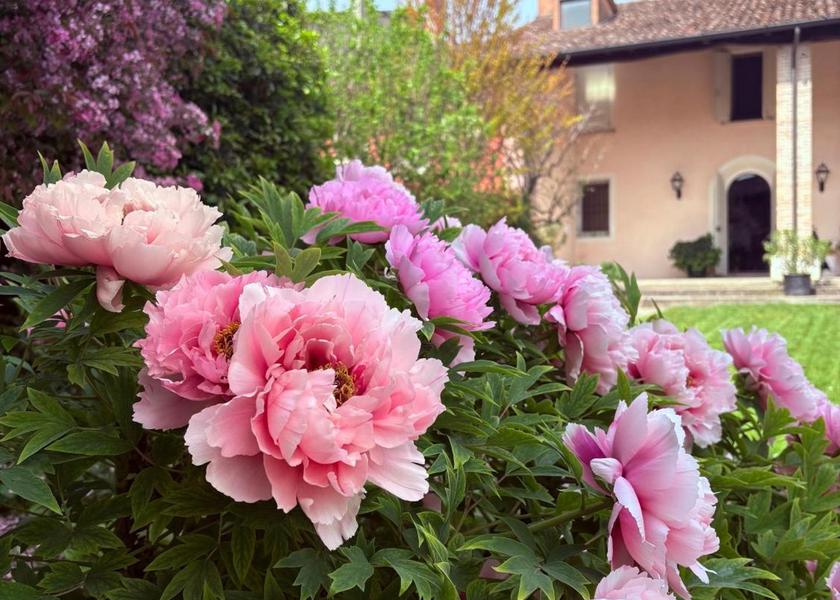 Lombardy Gambara exterior view