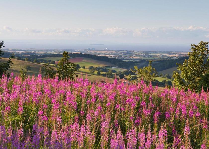 sports and activities