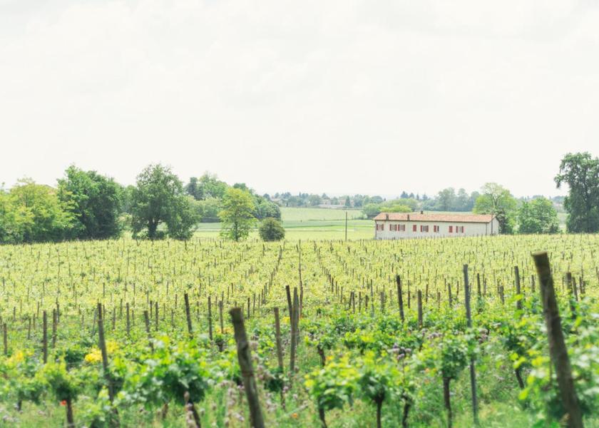 Lombardy Passirano surrounding environment