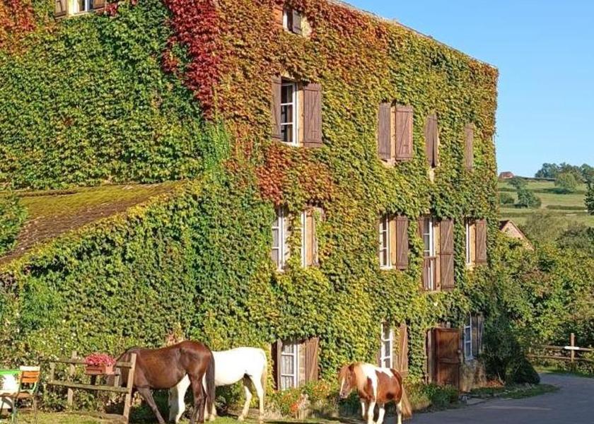 Bourgogne-Franche-Comté Nochize exterior view