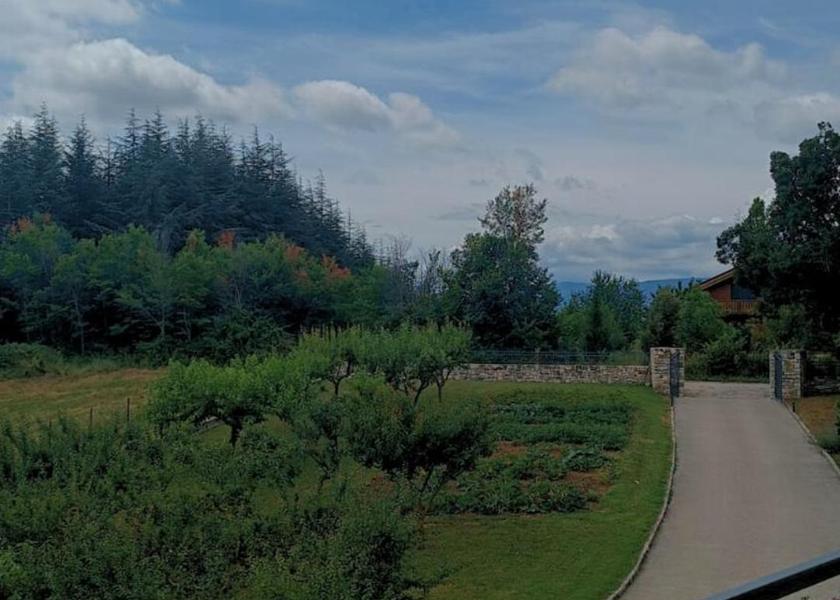 Molise Vinchiaturo view