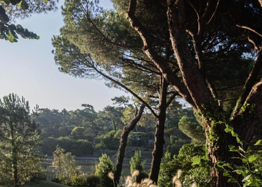 Nouvelle-Aquitaine Anglet 
