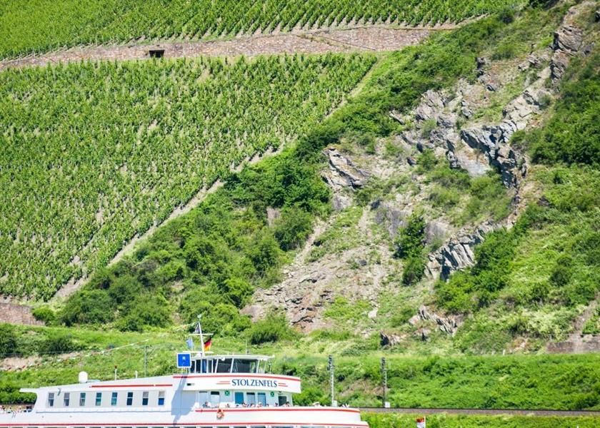 Rhineland-Palatinate Trechtingshausen 