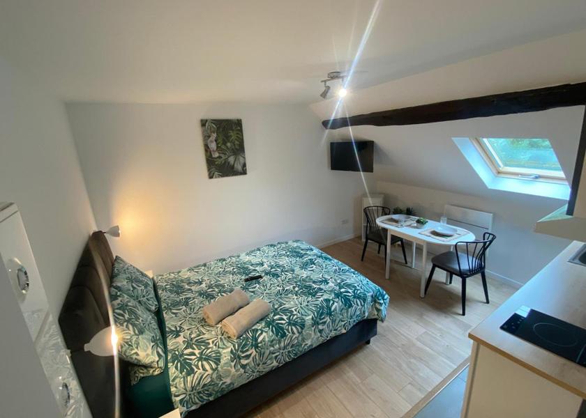 Centre-Loire Valley Vierzon Deluxe Double Studio