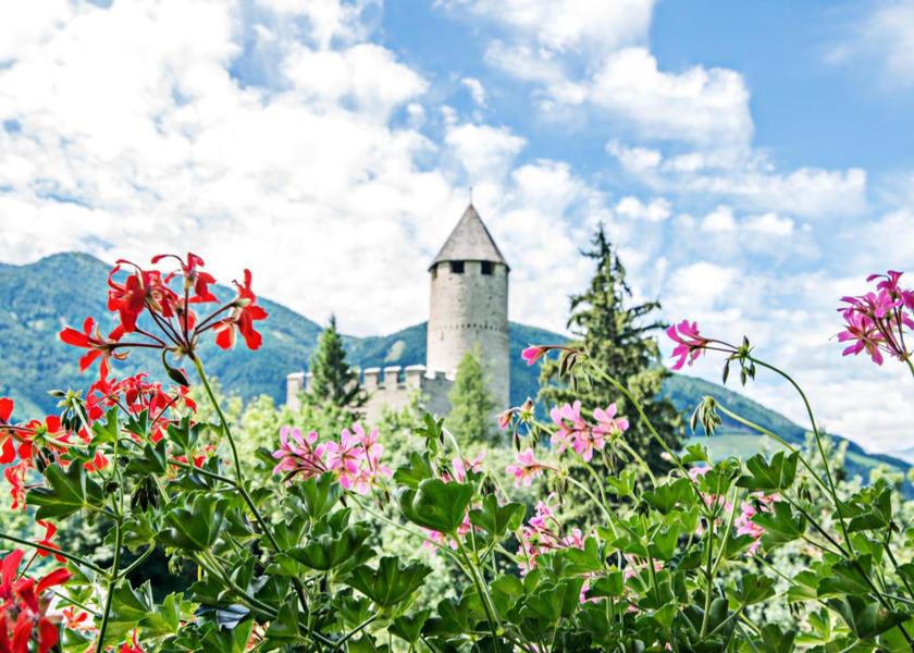 Trentino-Alto Adige Campo di Trens 