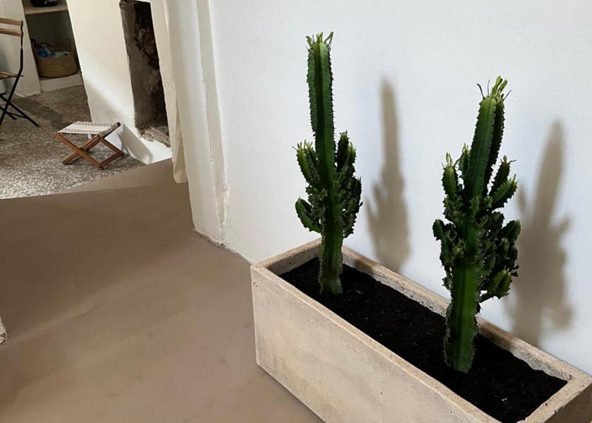Puglia Casarano 