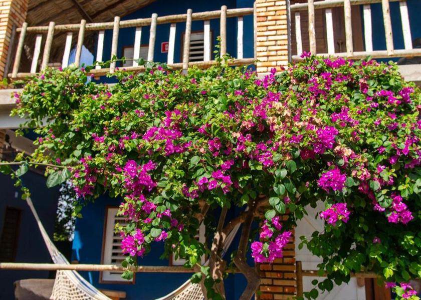Ceará Fortim Hotel Exterior