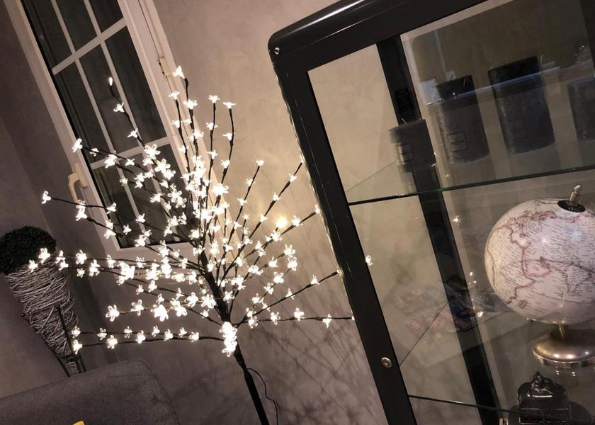 Occitanie Montpellier lobby