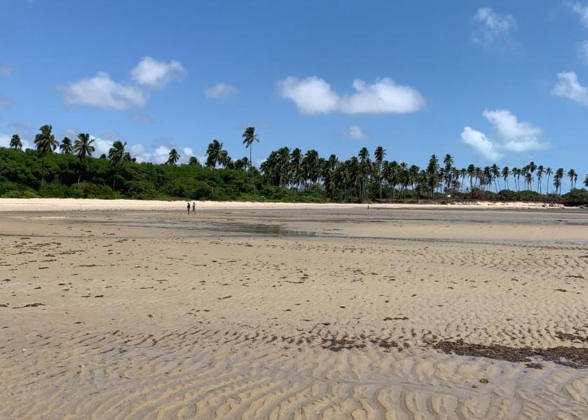Alagoas Paripueira beach