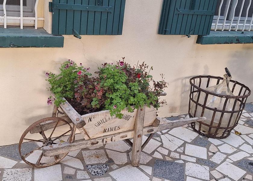 Provence-Alpes-Côte d'Azur Avignon 