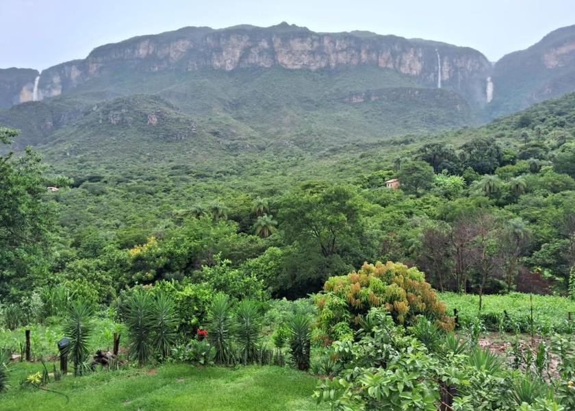 surrounding environment