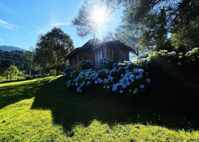 Santa Catarina (state) Urubici garden