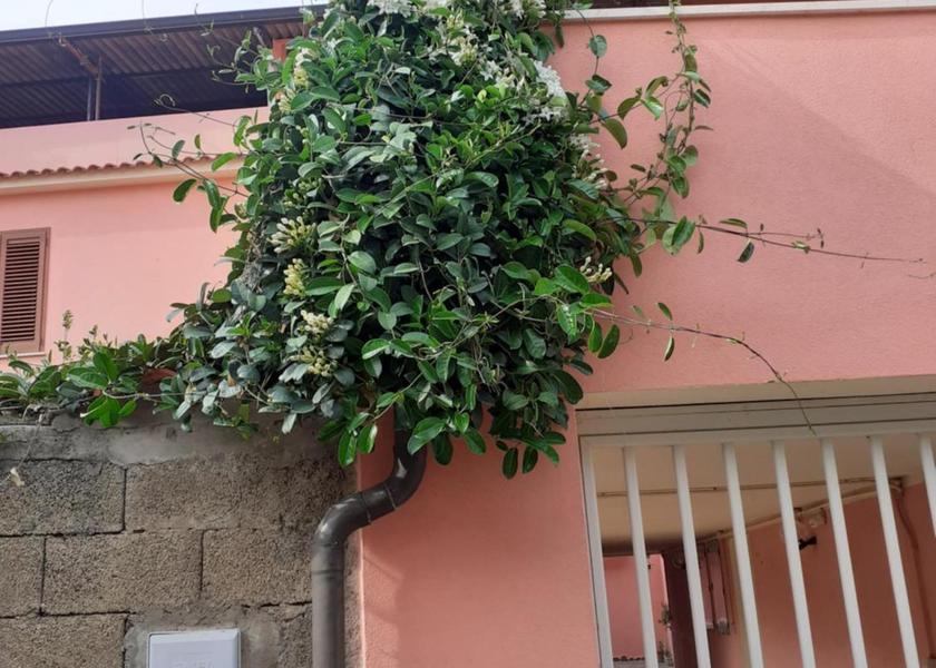 Sardinia Guspini 