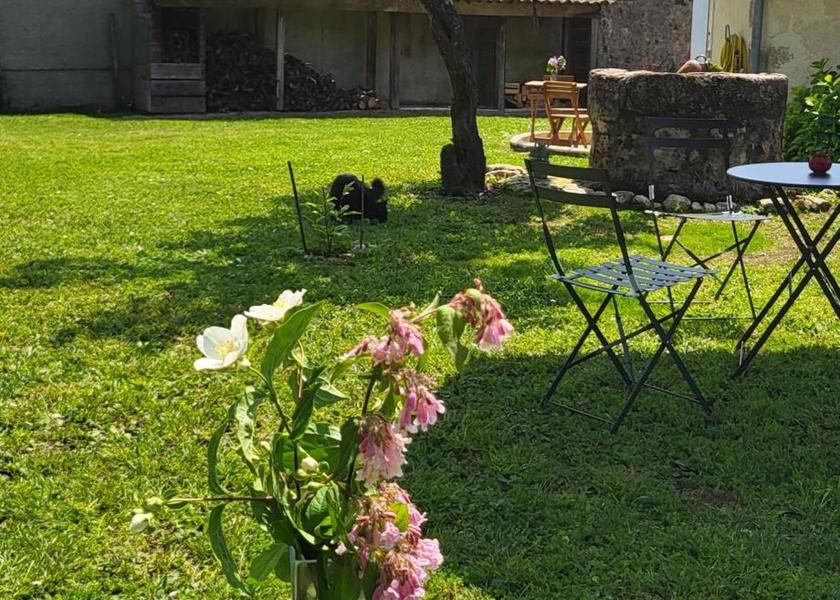 Nouvelle-Aquitaine Pauillac garden