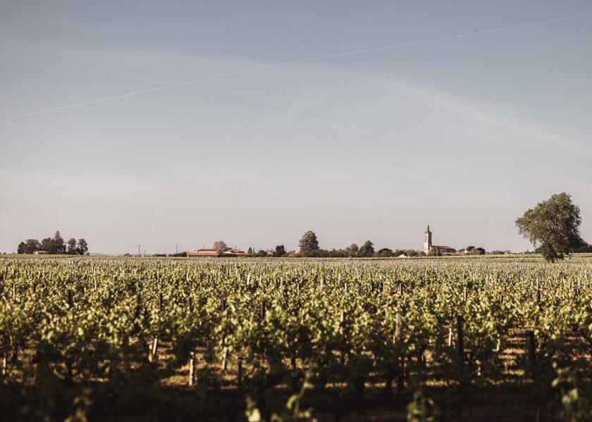 Nouvelle-Aquitaine Pauillac surrounding environment