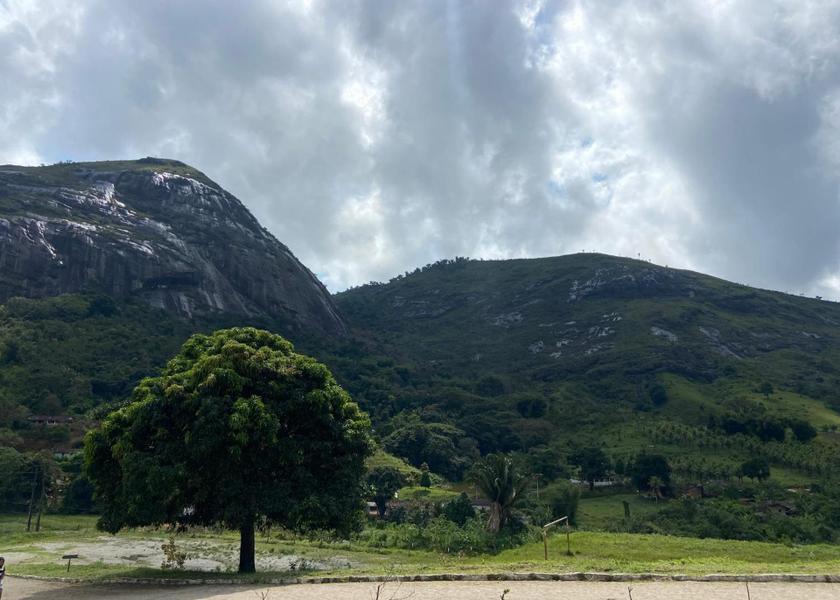 Pernambuco Bonito 