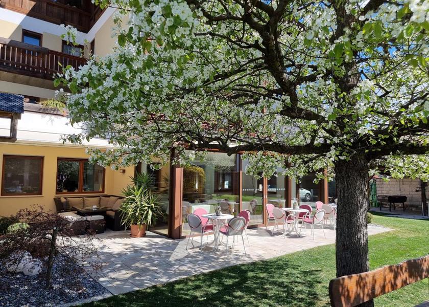 Trentino-Alto Adige Laces 