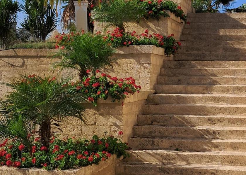 Sicily Lentini garden