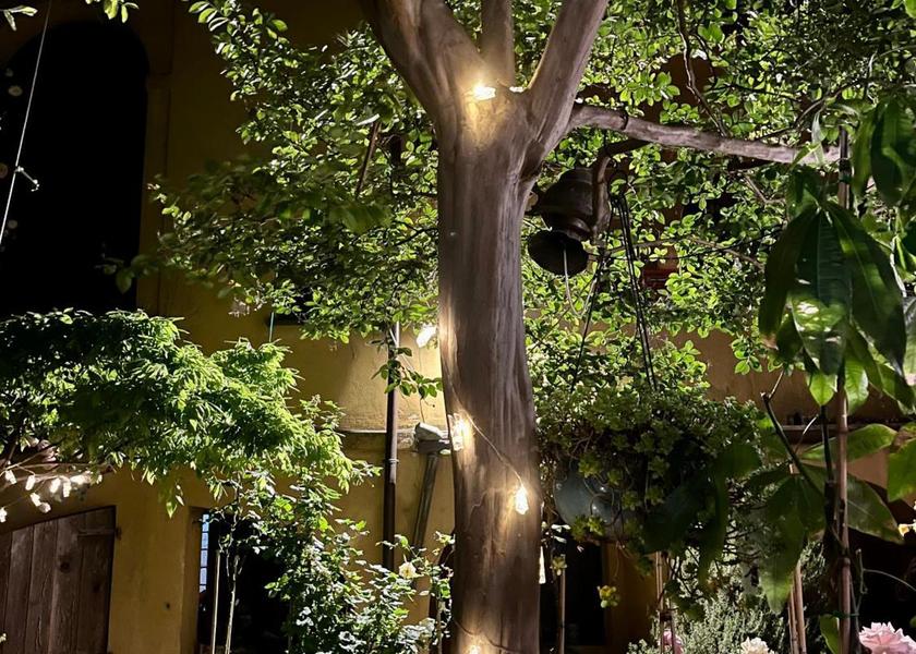 Lazio Magliano Sabina garden
